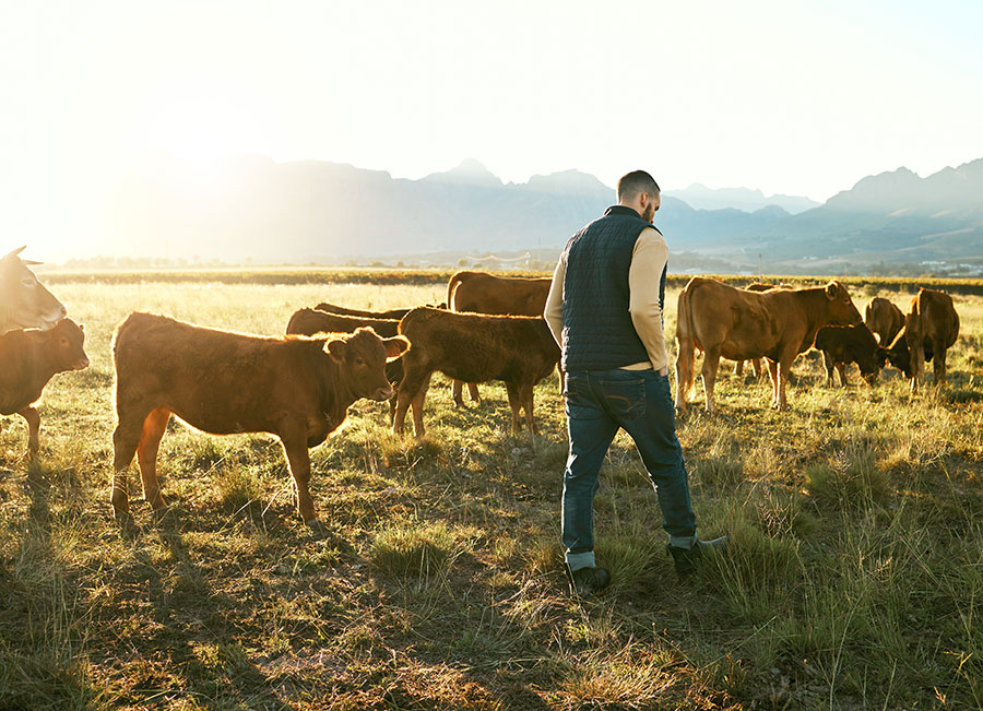 Bauernhof-verkaufen-landwirtschaftlicher-Betrieb-Jens-Wilken-NAW