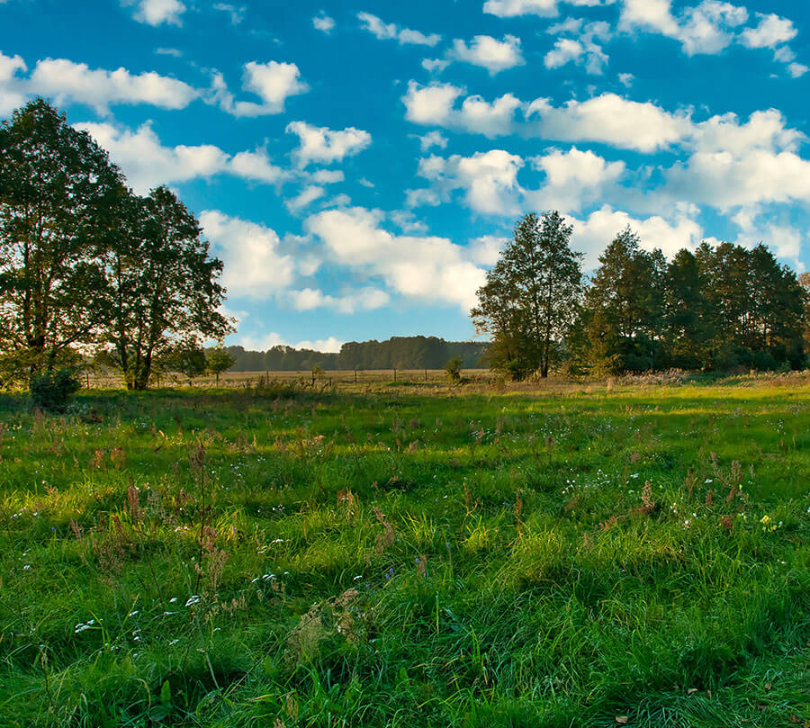 Kompensation-Nord-Oekopunkt-Kompensationsmassnahmen-Jens-Wilken-NAW