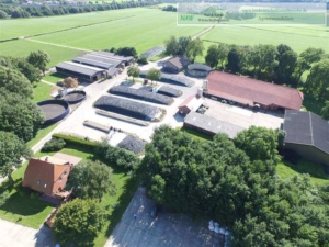 Milchviehbetrieb-in-Fiesland-NAW-Nord-Agrar-Wirtschaftsdienste-Jens-Wilken-2020