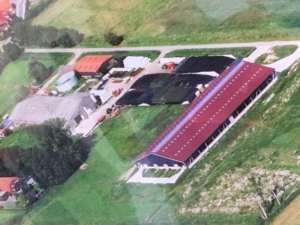 NAW-Nord-Agrar-Wirtschaftsdienste-Jens-Wilken-Milchviehbetrieb-Westoverledingen-LK-Leer-2022